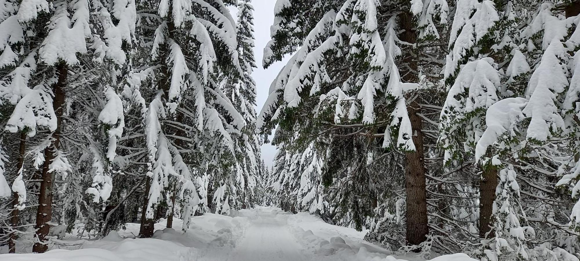 Monte Zen Žabljak Exterior foto