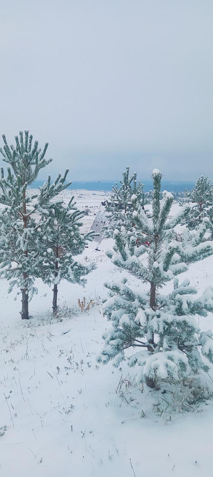 Monte Zen Žabljak Exterior foto